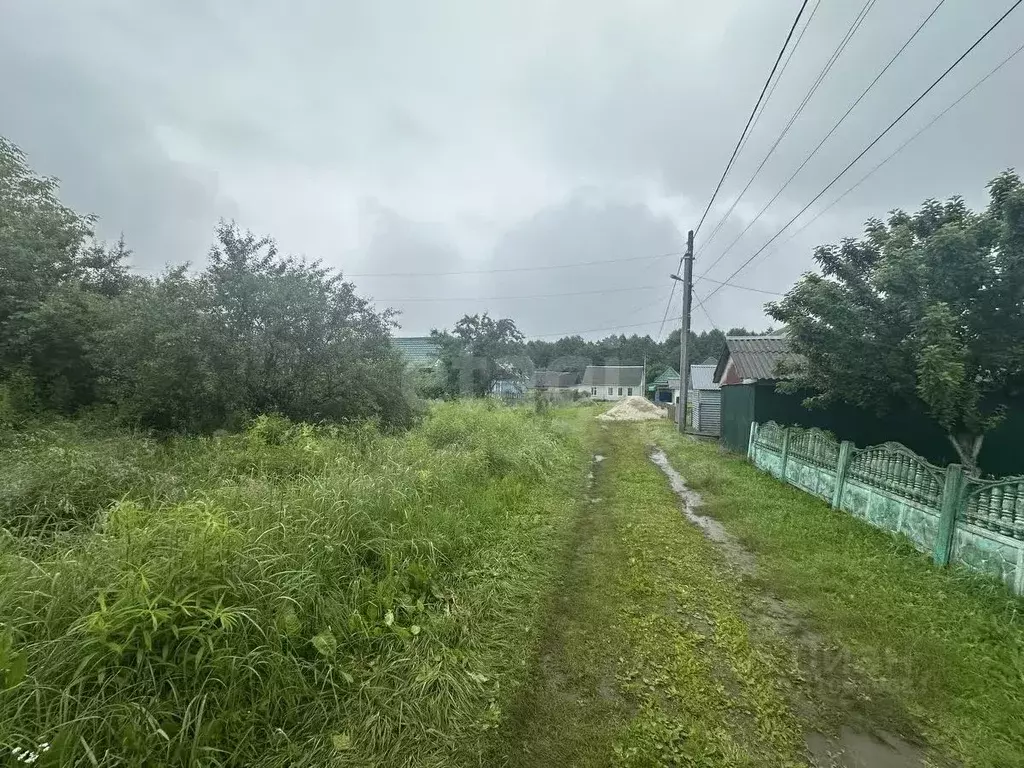 Участок в Брянская область, Жуковский муниципальный округ, с. Ржаница ... - Фото 1