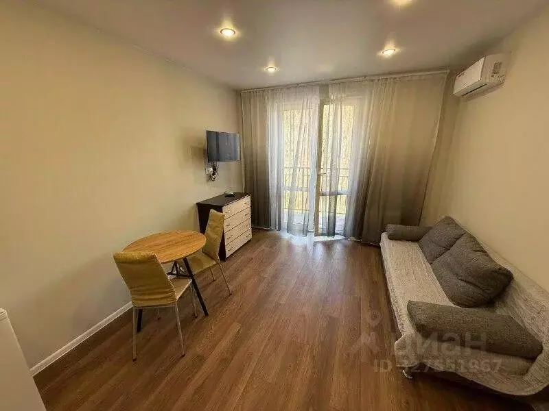 Студия Краснодарский край, Сочи ул. Искры, 88к1 (31.0 м) - Фото 1