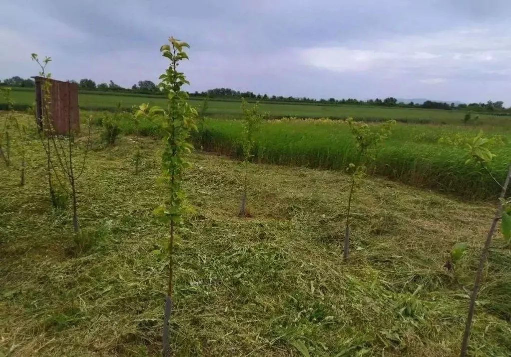 Участок в Краснодарский край, Абинский район, Ахтырское городское ... - Фото 1