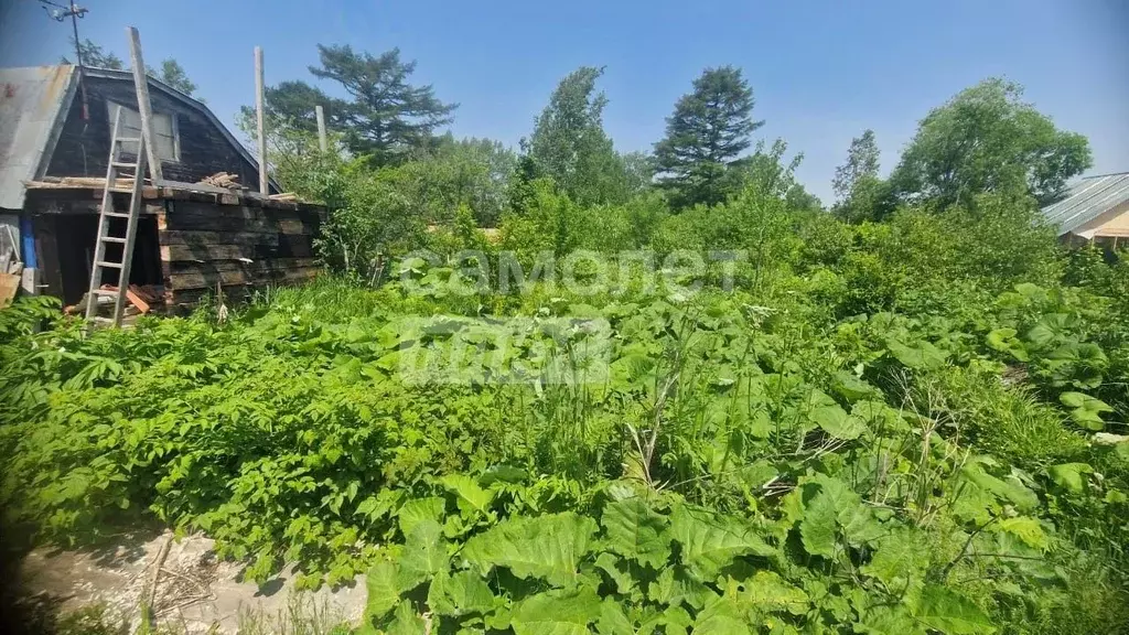 Участок в Сахалинская область, Южно-Сахалинск Дельфин СНТ, 31 (6.5 ... - Фото 2