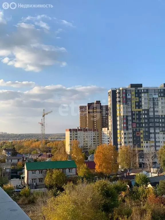 1-комнатная квартира: Воронеж, Ленинский проспект, 215В (41 м) - Фото 2