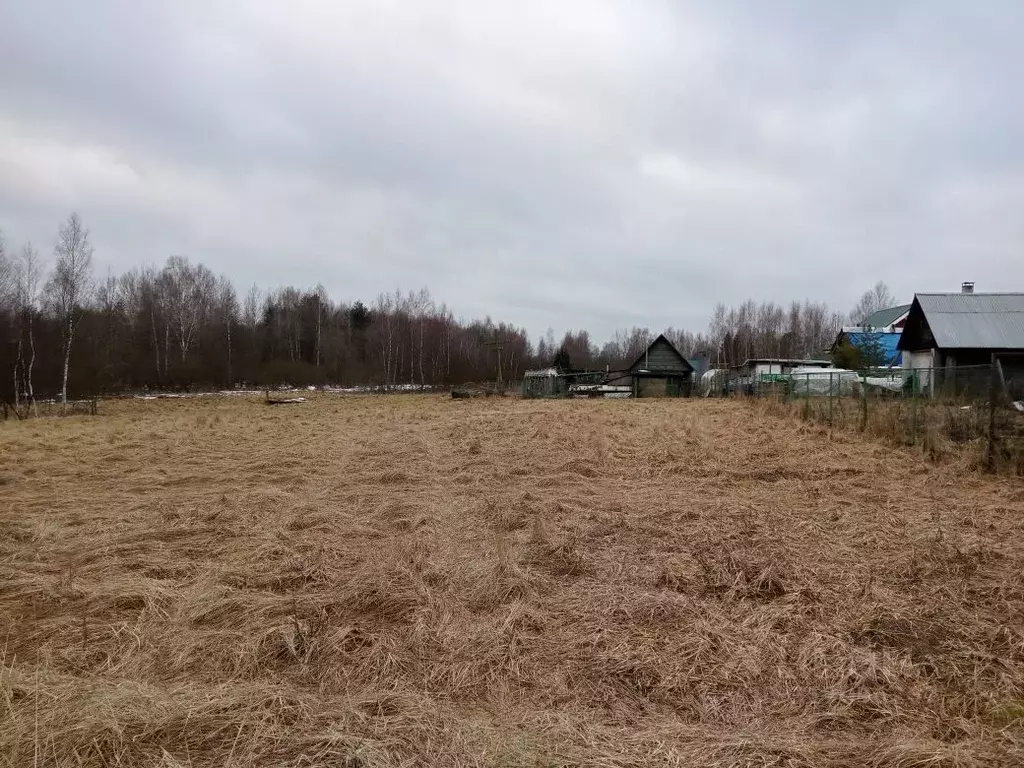 Участок в Московская область, Клин городской округ, д. Гологузово  ... - Фото 0