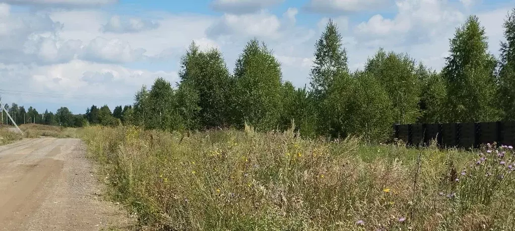 Участок в Челябинская область, Сосновский муниципальный округ, Ясное ... - Фото 1