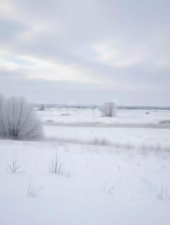 Участок в Тульская область, Дубенский район, Протасовское с/пос, с. ... - Фото 1