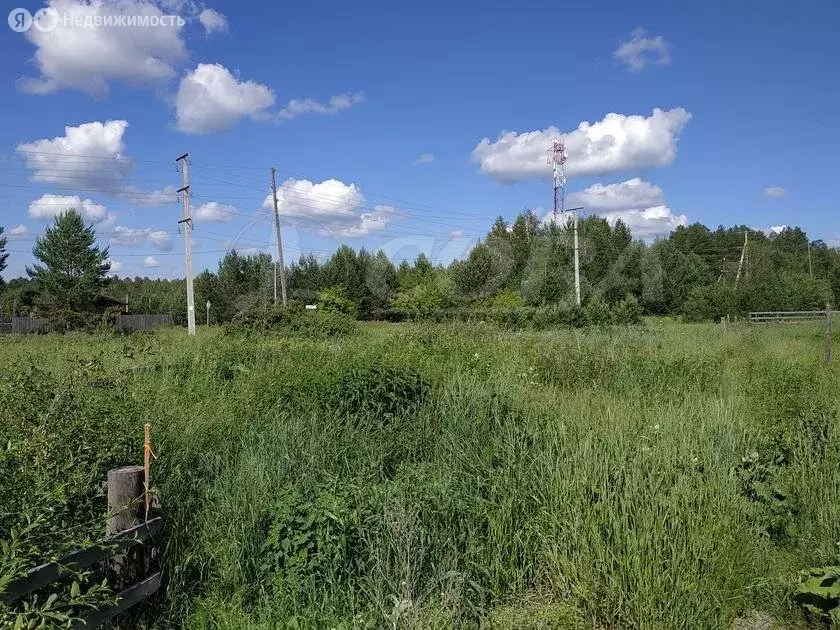 Участок в Тюменский район, деревня Чёрная Речка (25 м) - Фото 0