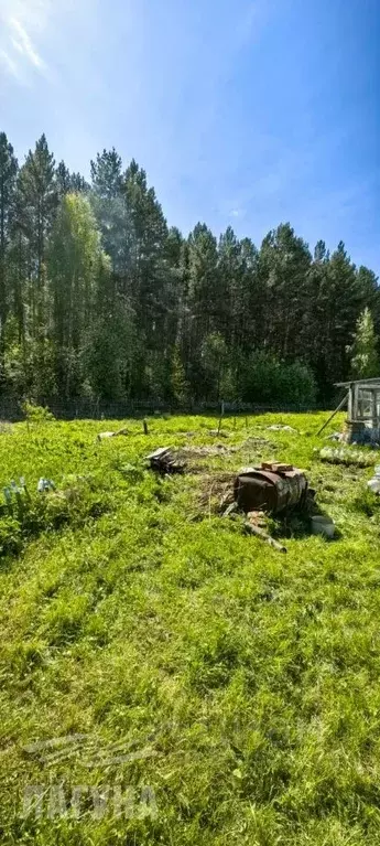 Участок в Томская область, Томский район, с. Межениновка Вокзальная ... - Фото 0