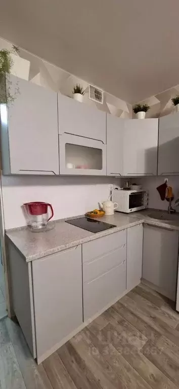 Студия Ленинградская область, Всеволожский район, Заневское городское ... - Фото 2