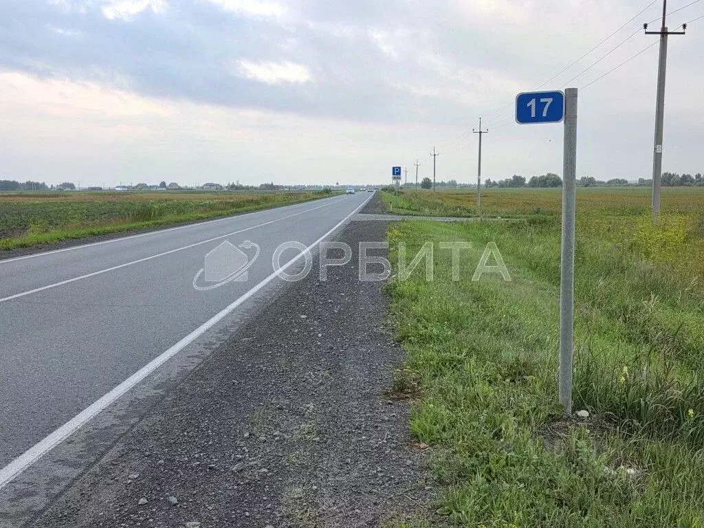 Участок в Тюменская область, Тюменский район, с. Мальково Новая ул., ... - Фото 1