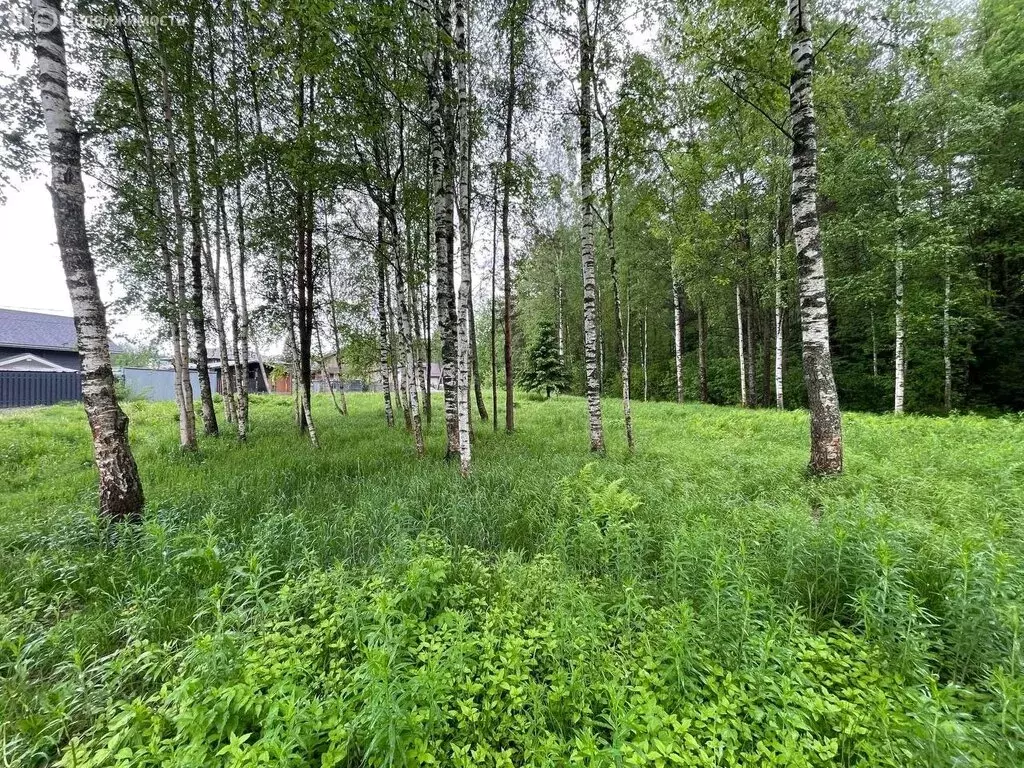Участок в Бугровское городское поселение, массив Мендсары (28.61 м) - Фото 0