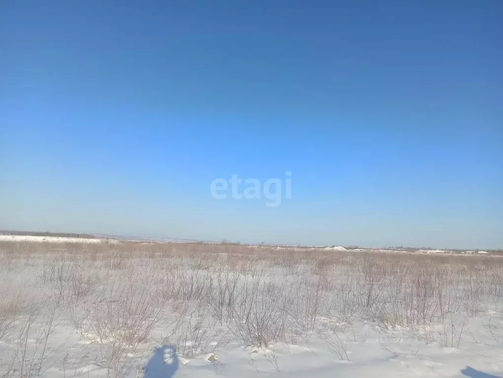 Участок в Амурская область, Благовещенский район, с. ... - Фото 0