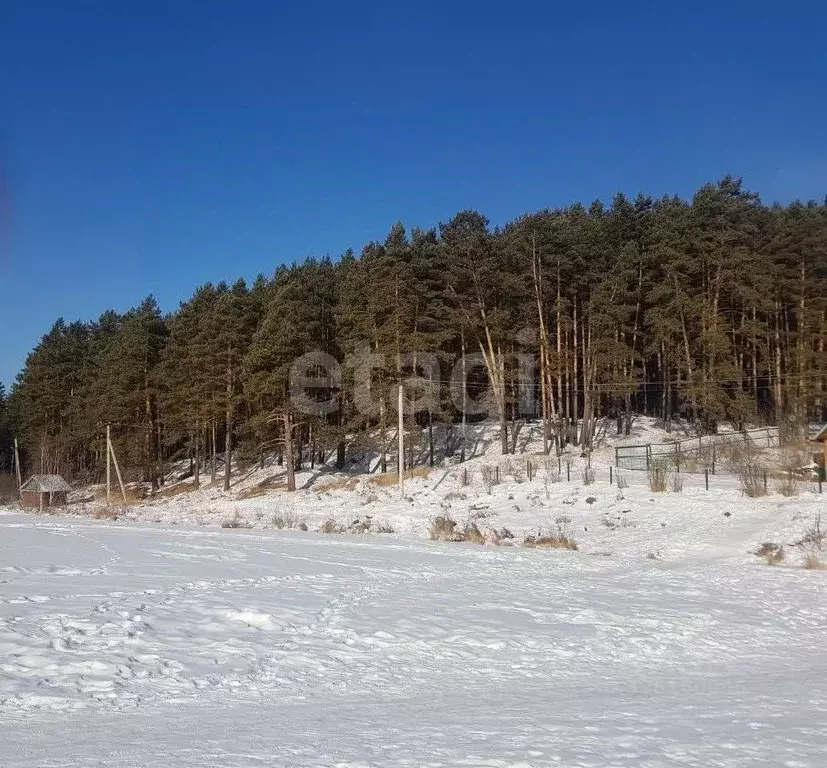 Участок в Иркутская область, Иркутск Искра мкр, ул. Озерная (16.5 ... - Фото 2