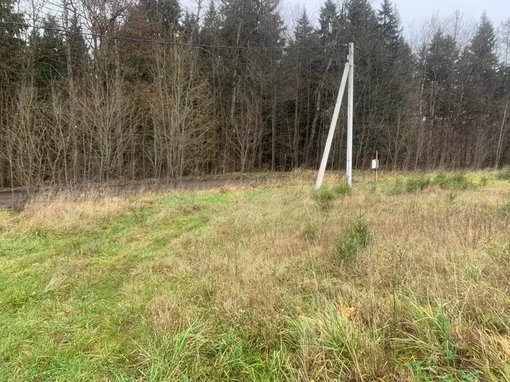 Участок в Московская область, Истра ул. Ленина, Река Истра (6.8 сот.) - Фото 0