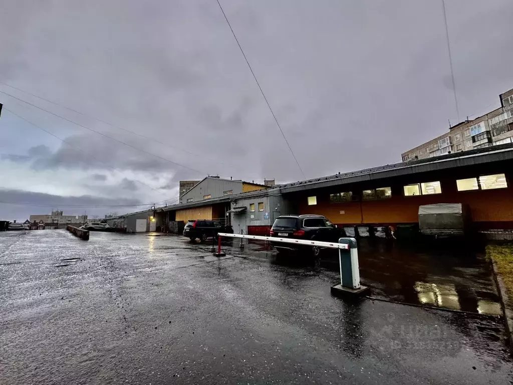 Торговая площадь в Мурманская область, Мурманск ул. Капитана ... - Фото 2