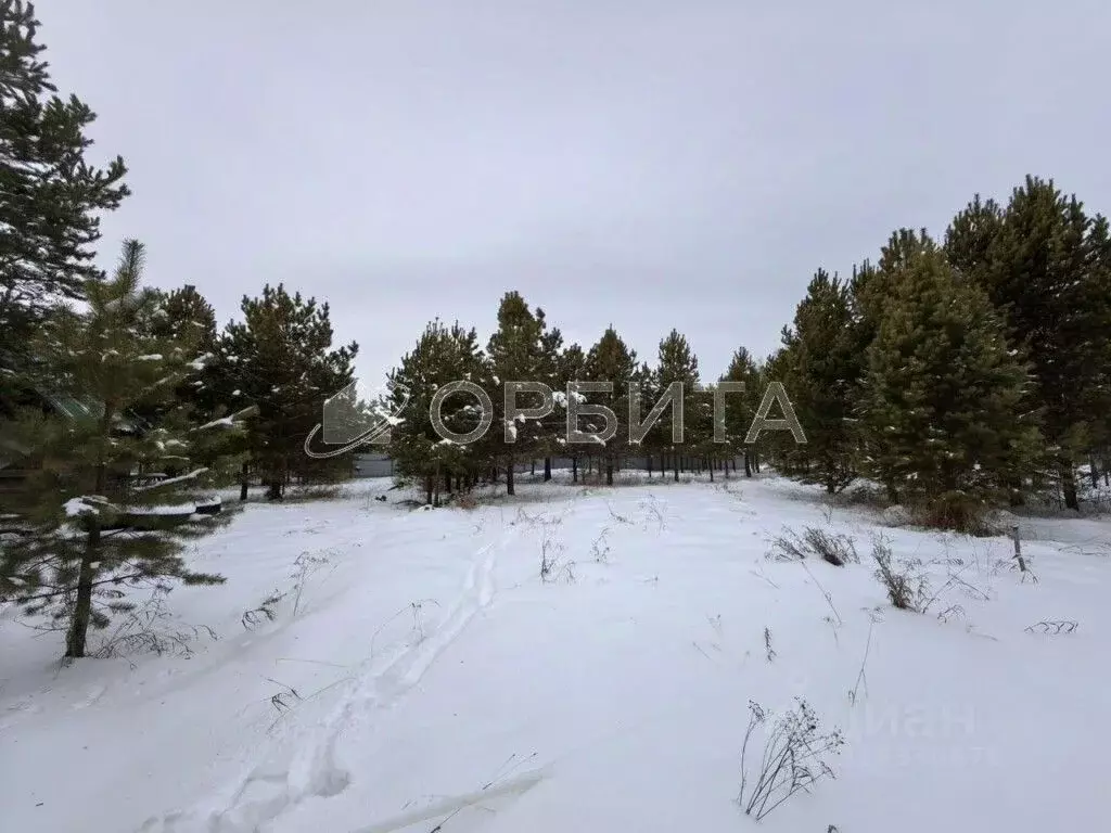 Участок в Тюменская область, Нижнетавдинский район, с. Тюнево ул. ... - Фото 1