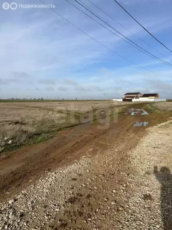 Участок в Молочное, Конрадская улица (8.03 м) - Фото 2