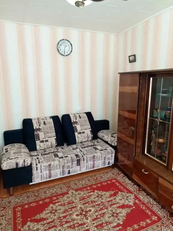 1-к кв. Владимирская область, Муром Московская ул., 75 (30.0 м) - Фото 2
