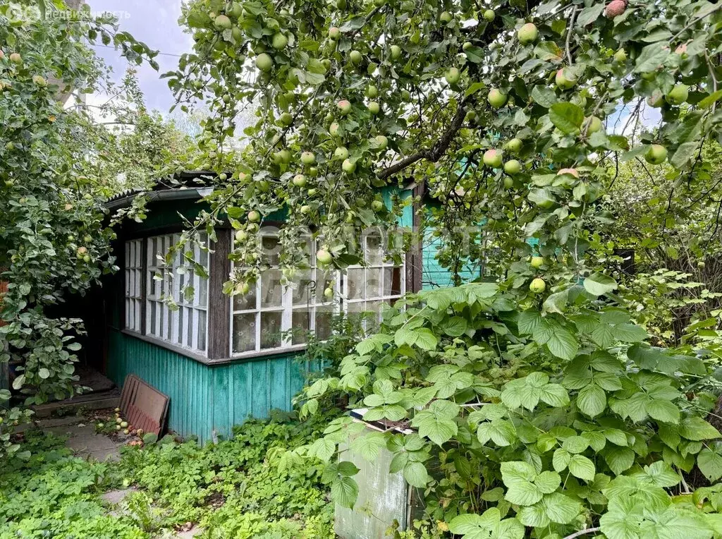 Участок в деревня Говорово, СНТ Мир (6.7229996 м) - Фото 2