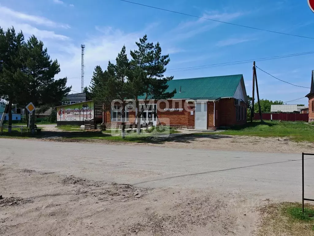 Помещение свободного назначения в Омская область, Омский район, с. ... - Фото 0