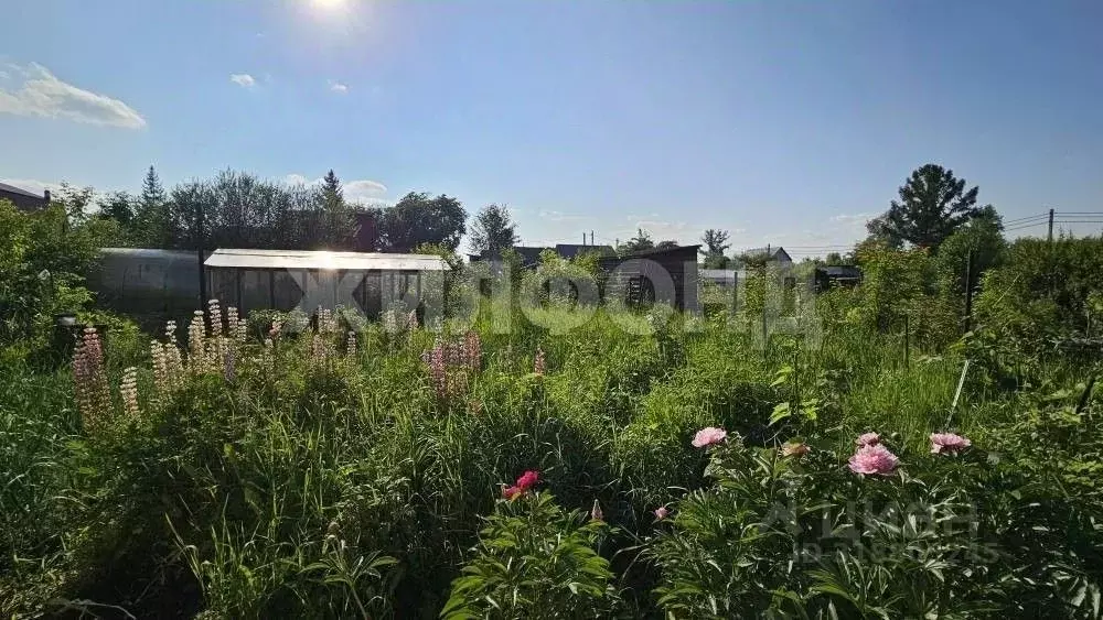 Дом в Новосибирская область, Новосибирск Садовод-ССМ садовое ... - Фото 0