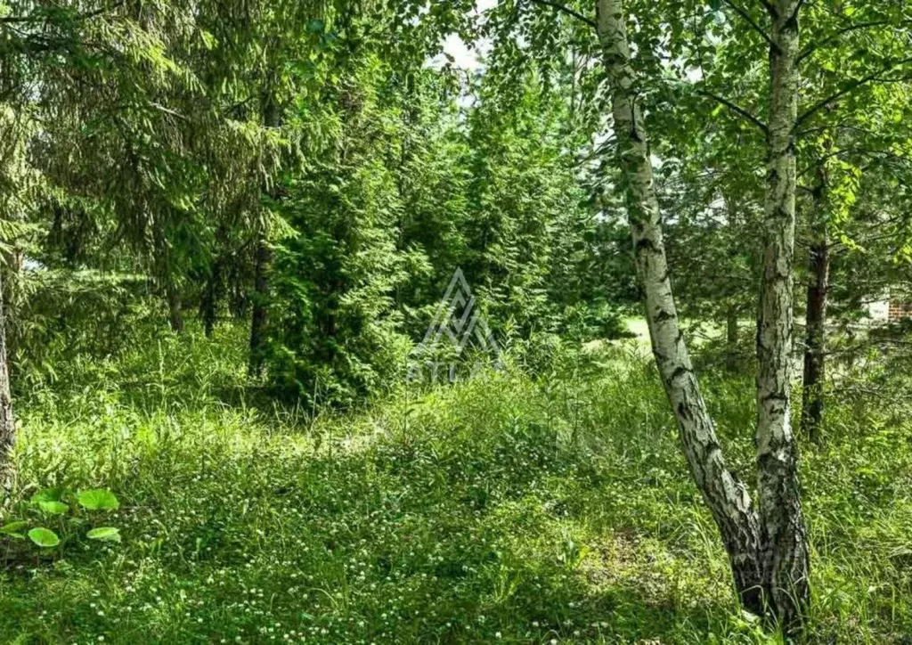 Участок в Московская область, Красногорск городской округ, д. ... - Фото 1