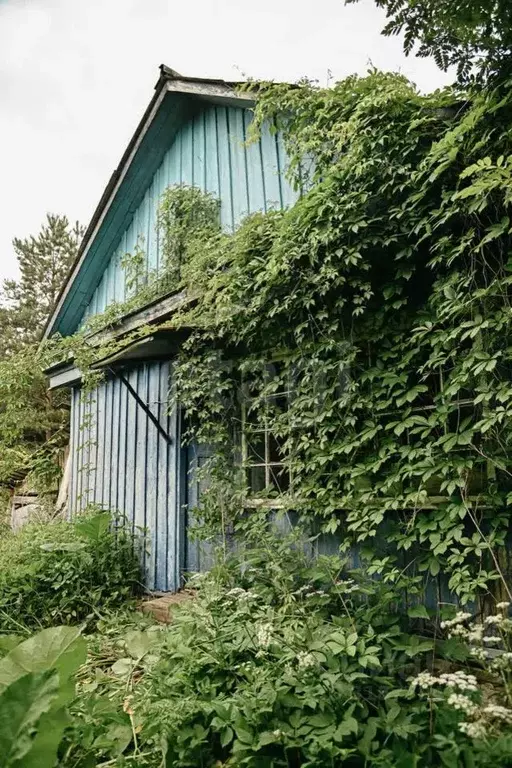 Дом в Тульская область, Тула городской округ, д. Варфоломеево  (49 м) - Фото 1
