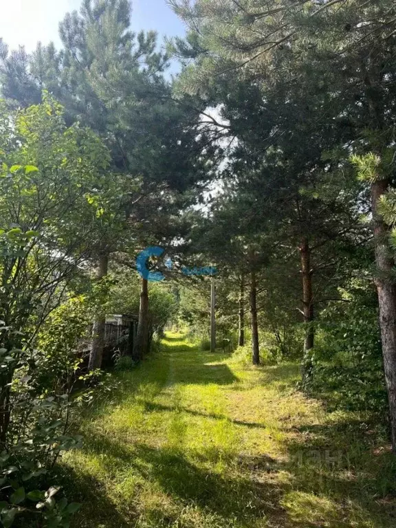 Участок в Ярославская область, Ярославль № 6 Резинотехника СНТ,  ... - Фото 2