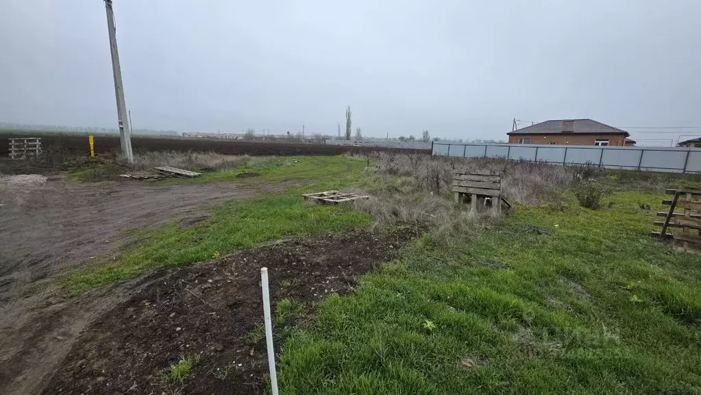 Участок в Ростовская область, Неклиновский район, с. Новобессергеневка ... - Фото 1