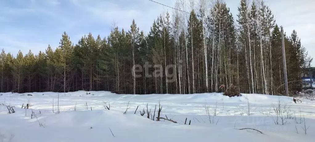 Участок в Свердловская область, Талица Южный-3 мкр,  (15.0 сот.) - Фото 1