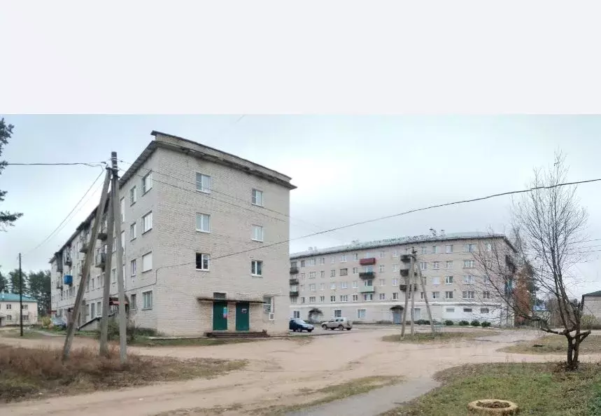 3-к кв. Новгородская область, Хвойнинский муниципальный округ, пос. ... - Фото 2