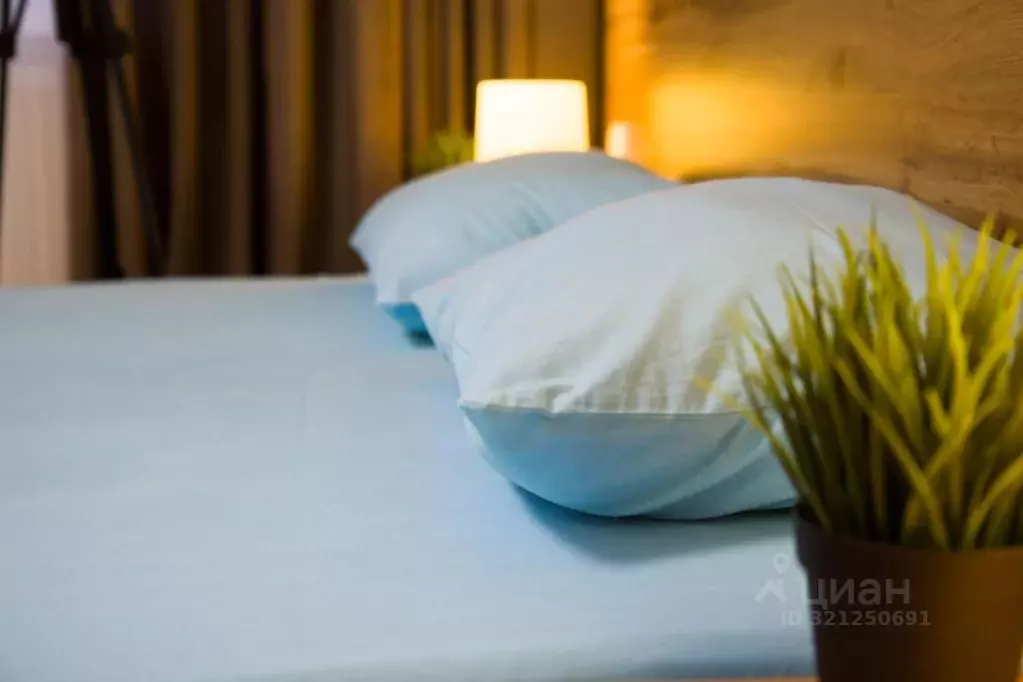 1-к кв. Удмуртия, Ижевск Северный пер., 50 (31.0 м) - Фото 2