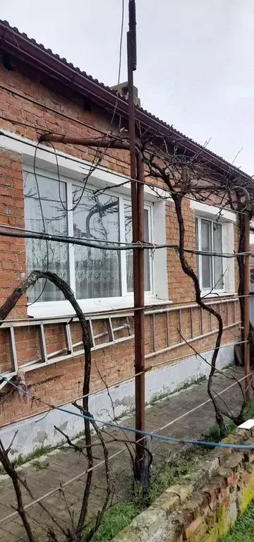Коттедж в Краснодарский край, Северская ст-ца пер. Мичурина, 11 (65 м) - Фото 2