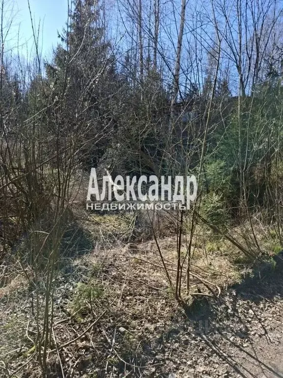 Участок в Ленинградская область, Выборгский район, Гончаровское с/пос, ... - Фото 2