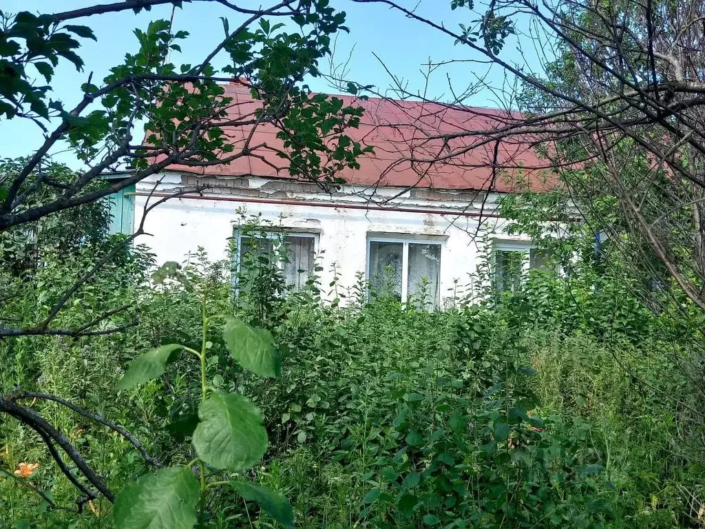 1-к кв. Башкортостан, Нуримановский район, Новокулевский сельсовет, с. ... - Фото 0
