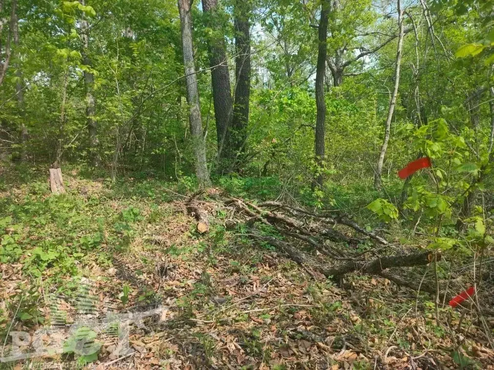 Участок в Приморский край, Артем Меркурий-1 садоводческое ... - Фото 2