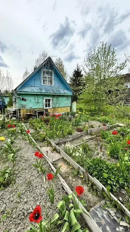 Дом в Ленинградская область, Волхов ул. 7-я Линия, 217 (40 м) - Фото 1