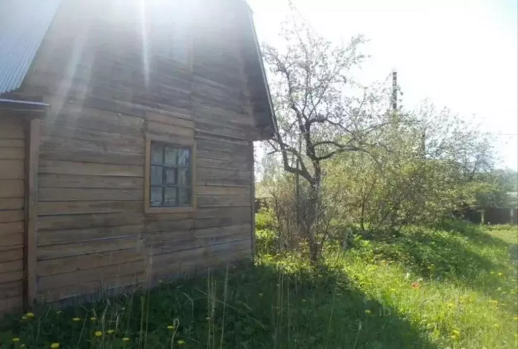 Участок в Ивановская область, Шуя № 23 садоводческое товарищество,  ... - Фото 2