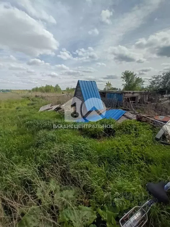 Дом в Новосибирская область, Коченевский район, с. Катково Школьная ... - Фото 1