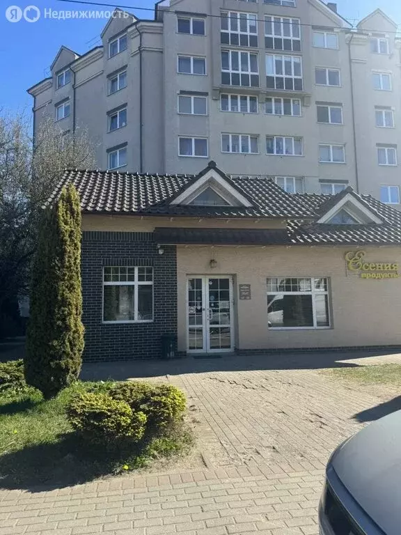 Помещение свободного назначения (87.1 м) - Фото 1