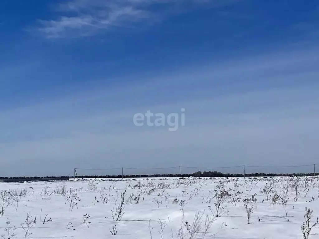 Участок в Тюменская область, Тюменский район, д. Елань  (7.0 сот.) - Фото 0