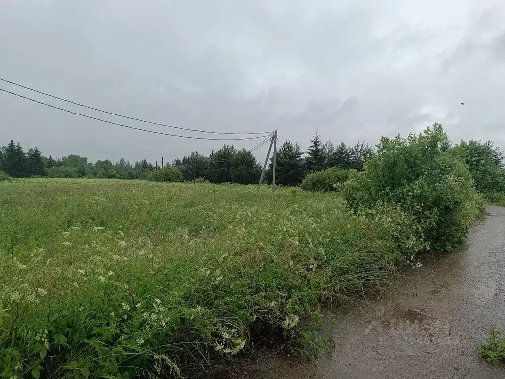 Участок в Новгородская область, Новгородский район, Трубичинское ... - Фото 0