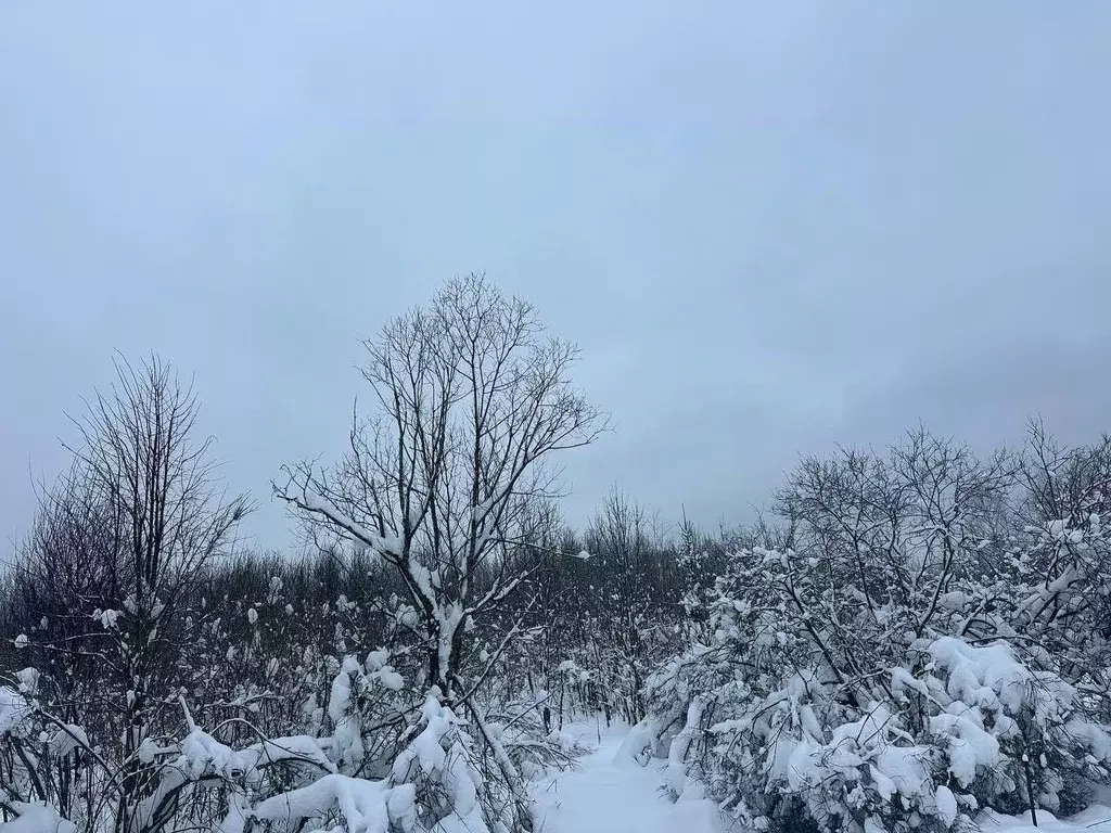 Участок в Московская область, Рузский муниципальный округ, д. ... - Фото 1
