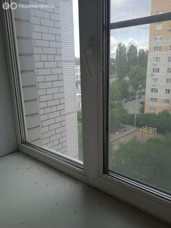 3-комнатная квартира: Воронеж, улица 45-й Стрелковой Дивизии, 247Д ... - Фото 0