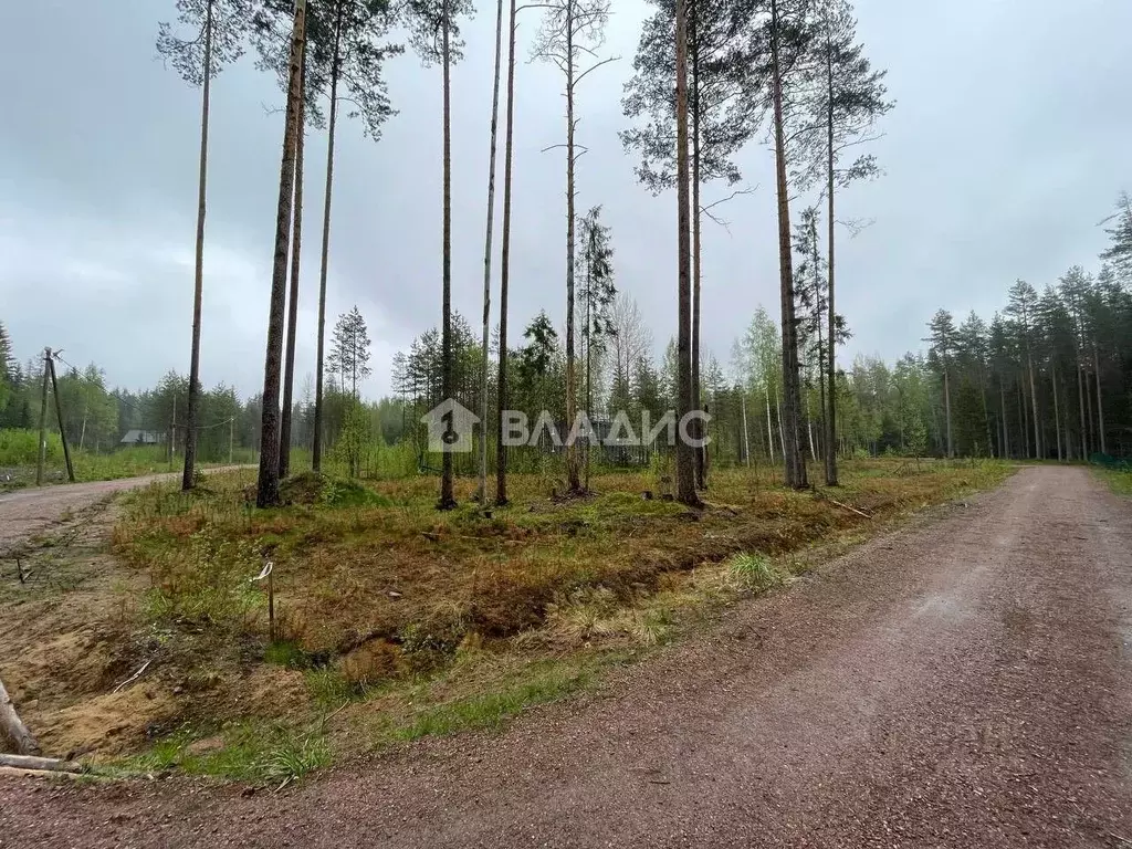 Участок в Ленинградская область, Выборгский район, Рощино пгт проезд ... - Фото 2