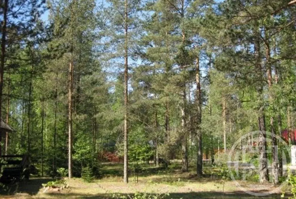 Дом в Ленинградская область, Выборгский район, Первомайское с/пос, ... - Фото 2