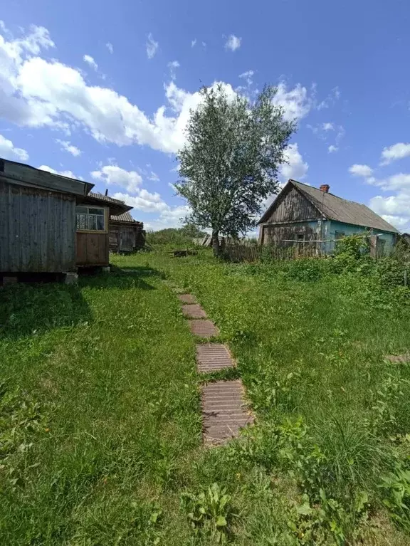 Дом в Брянская область, Навлинский район, Бяковское с/пос, с. Бяково ... - Фото 1