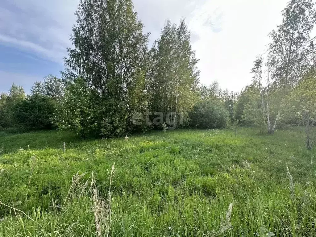 Участок в Костромская область, Кострома проезд Кружевной (8.83 сот.) - Фото 1