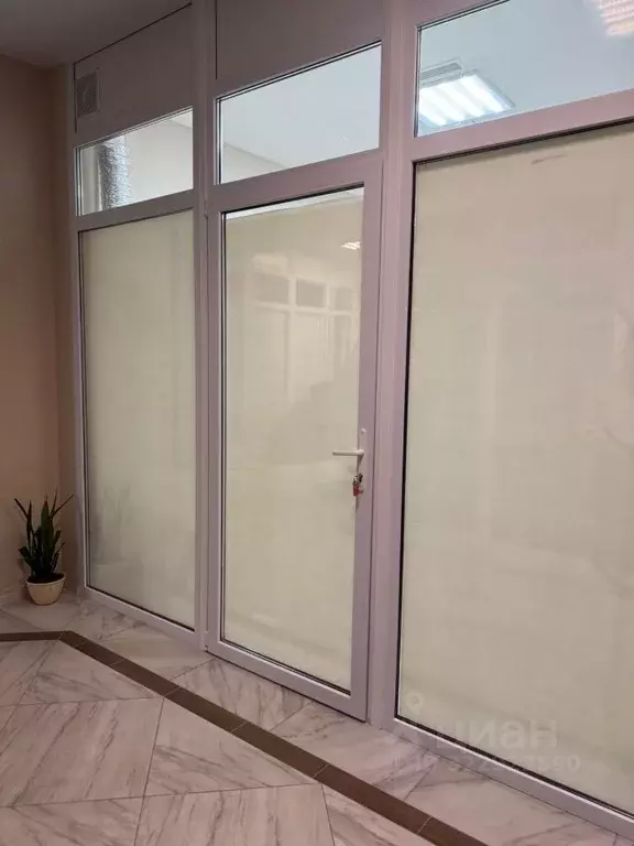 Помещение свободного назначения в Краснодарский край, Геленджик ... - Фото 1