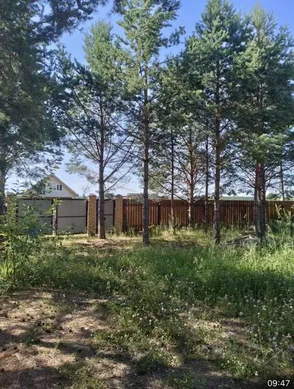 Дом в Свердловская область, Белоярский муниципальный округ, д. Гусева ... - Фото 2