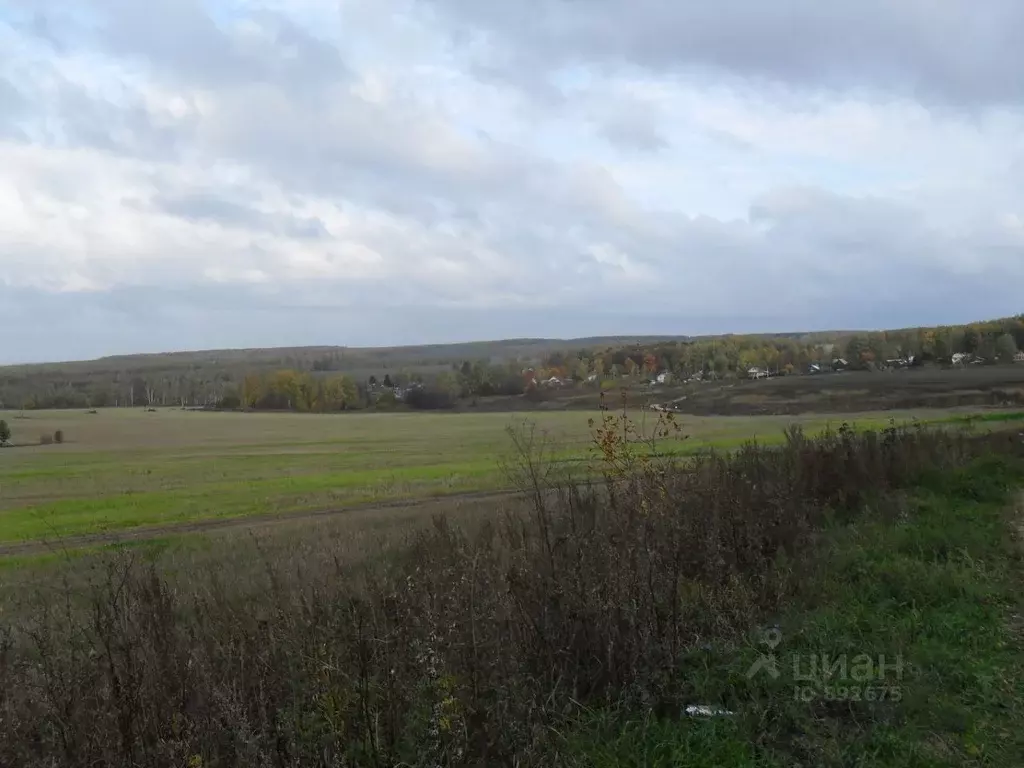 Участок в Нижегородская область, Богородский район, д. Банниково  ... - Фото 1