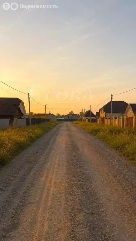 Участок в Тюменская область, Исетский муниципальный округ, село ... - Фото 2